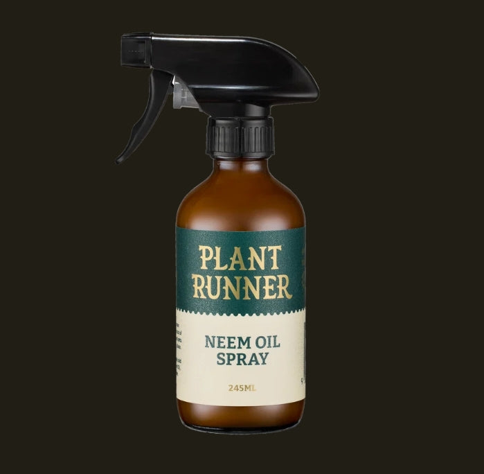 Neem Oil Leaf Shine