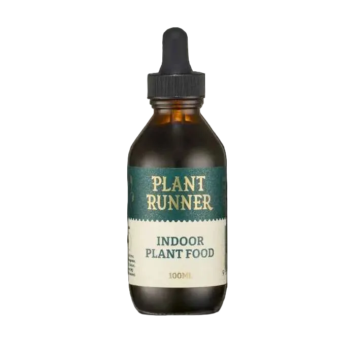 Plant Runner Indoor Plant Food