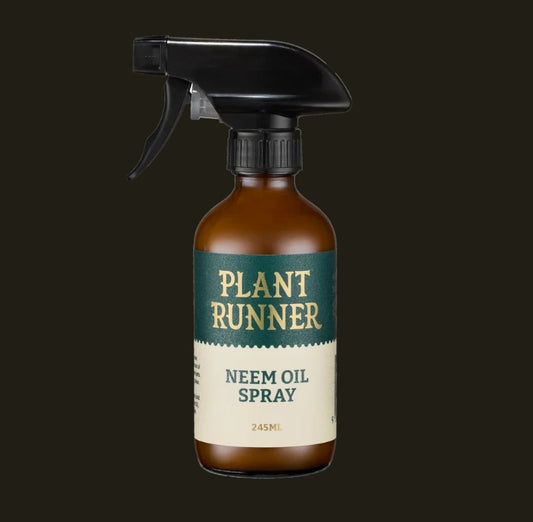 Neem Oil Leaf Shine