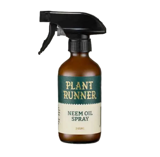 Plant Runner Neem Oil Leaf Shine