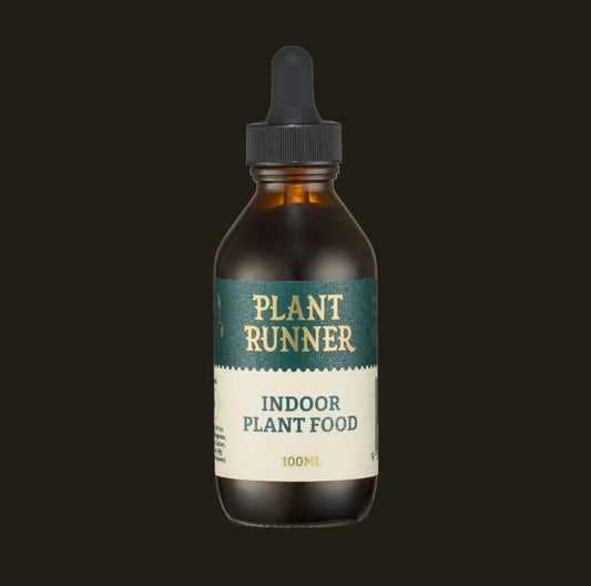 Indoor Plant Food