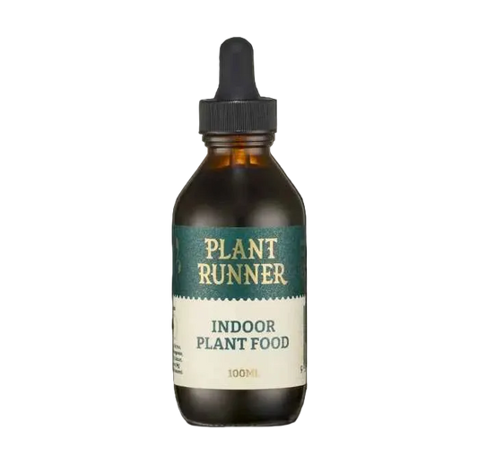Plant Runner Indoor Plant Food
